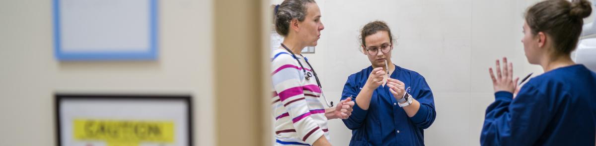 UNH students practicing in a clinical lab