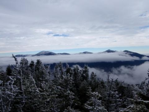 skyline with pine trees, snow, clouds, and mountains