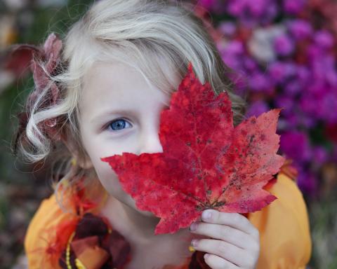Child holding maple leaf