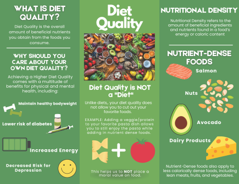 Diet Quality Flyer