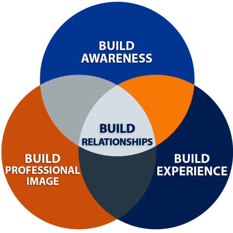 Wildcat Way to Professional Success model