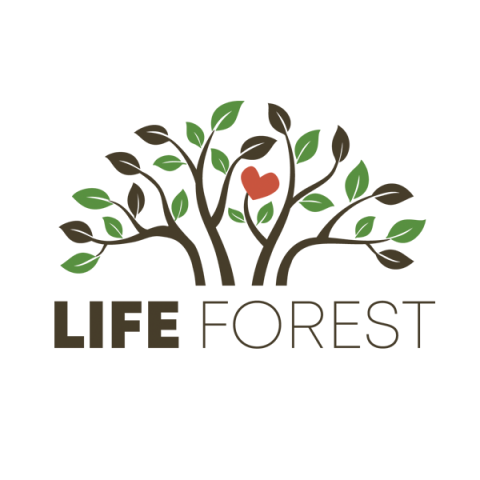 Life Forest