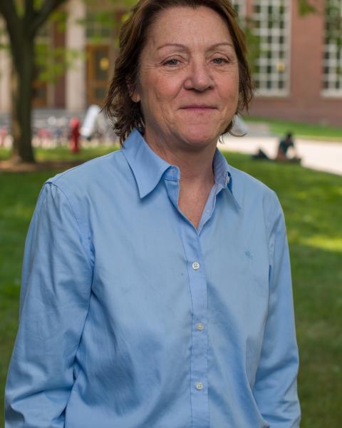 Pamela P. DiNapoli, Associate Professor, Nursing