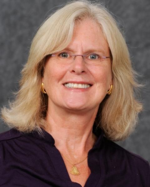 Debra A. Gottel, Clinical Assistant Professor, Nursing