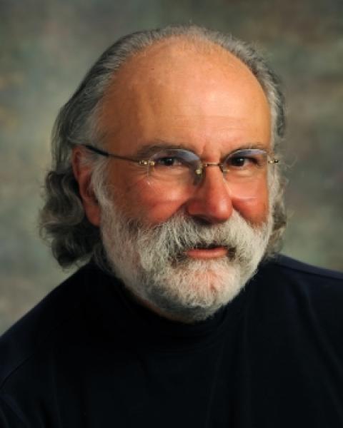 Mark D. Moses, Clinical Associate Professor, Human Development and Family Studies