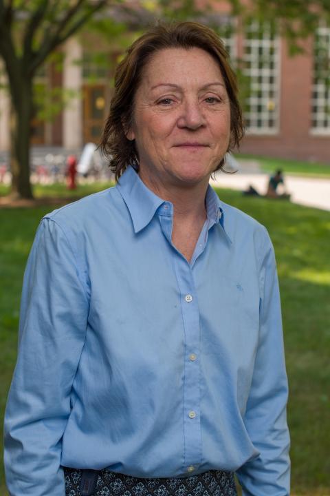 Pamela P. DiNapoli, Associate Professor, Nursing