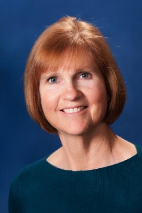 Donna M. Pelletier, Clinical Associate Professor, Nursing