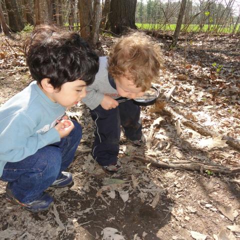 two toddlers exploring the woods